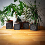 Lade das Bild in den Galerie-Viewer, Untersetzer "Feiner Schiefer"