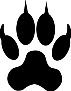 Wolfspfote Motiv